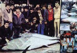 Boğaz'daki orkinos ve uskumruyu böyle bitirdik! Artık yapılabilecek tek şey var