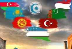 AB modeli Türk Birliği