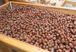 Ferrero'ya Rekabet Kurulu'ndan soruşturma