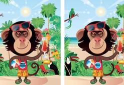 Keskin gözlere sahip olanlar hemen çözüyor! Resimdeki 7 farkı bulanların sayısı çok az