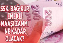 EMEKLİ ZAMMI SON DAKİKA HABERLERİ 2023 || Ocak emekli maaşı zammı ne kadar olacak, yüzde kaç zam gelecek? En düşük emekli maaşı zammı ne olacak, kaç TL?
