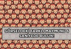 Bu optik illüzyon testinde üzgün maymun var: Keskin gözlere sahip olanlar 6 saniyede buluyor!