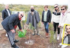 Türkmen’den üçüncü orman