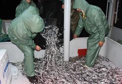 Karadeniz'de 'hamsi avı yasaklansın' çağrısı