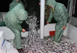 Karadeniz'de 'hamsi avı yasaklansın' çağrısı
