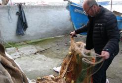 Karadeniz'de avlanan ince hamsi diğer balıkları tehdit ediyor