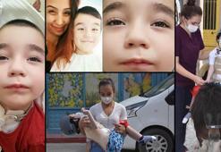 Ege'ye oksijen yerine azot! 'Hatalı bağlantıyı yapan tespit edilemedi'