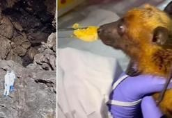 Tayland'daki mağaradan paylaştı: 'Burası pandeminin nükleer çekirdeği'