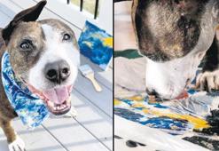 Can dostun sanat dolu hikâyesi