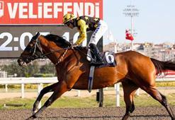 Halis Karataş 7 bininci yarışını kazandı