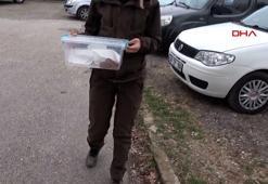Aksaray'da otomobil bagajında iki boa yılanı ele geçirildi