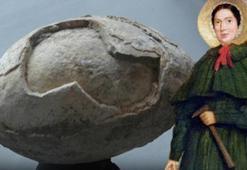 Keşfeden ilk kişi yakılarak öldürülmüştü! Türkiye'deki 5 ilde dinozor yumurtası mı bulundu?