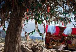 Eski Türkler yılbaşını neden baharda kutladı? Yanlış bilinen 'çam ağacı' detayı