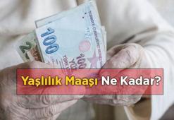 Yaşlılık Maaşı 2024 Ne Kadar? 65 Yaş Üstü Yaşlılık Aylığı Tutarı Ne Kadar Oldu?