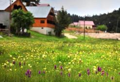 İlk cemre ne zaman düşecek, cemre havaya hangi tarihte düşecek?