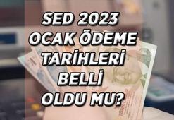 SED OCAK 2023 ödemeleri ne zaman yatacak? SED yardımı ne kadar oldu, hesaplara ne zaman yatacak?