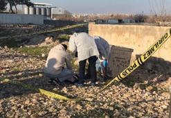 Şanlıurfa’da korkunç olay! Çöpten yeni doğmuş bebek cesedi çıktı