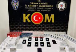 Şırnak’ta asayiş ve kaçakçılık operasyonu: 48 gözaltı