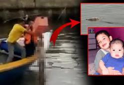 Ölü çocuğu ağzına alıp sürükledi! Görüntüyü gören ekipler şaştı kaldı