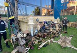 Silivri'de tarihi eser operasyonu