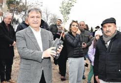 Bornova yeşilleniyor