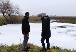 Uluabat Gölü'ne akan derelerde "beyaz köpük” paniği