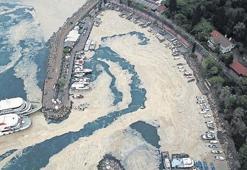 Marmara’nın müsilajı dünya literatüründe