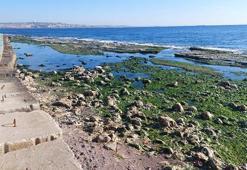 Marmara'da deniz suyu çekildi! Kandilli'den açıklama geldi