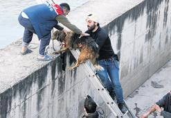 Ekipler, can dostlarını Asi’den çıkarıp aldılar