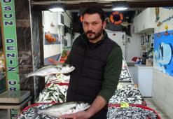 Boğazda hamsi avı yasaklandı, Çanakkale'de lüferin kilosu 350 TL'ye düştü
