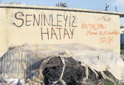 ‘Yıkılma, Hatay biz varız’