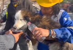 Hatay'da 23 gün sonra 'Aleks' adlı köpek, enkazdan kurtarıldı