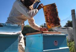 Aldığı destekle şehirden köyüne döndü, doğal bal üretiyor