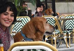 Ezgi Mola'nın depremzede Zeus'u!