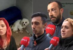 Köpek eğitiminde eziyet! Hayvan sahiplerinden Harun Koska hakkında şikayet