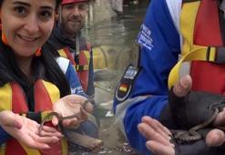 Suya gömülen ilçede yılanlar da kurtarıldı
