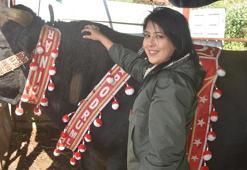 'Boğaların efesi' Buse'yi 'Goca Çınar' ile gören bir daha bakıyor