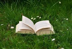 Şeker Portakalı - Kitap Özeti Oku, Konusu, Karakterleri Ve Sayfa Sayısı