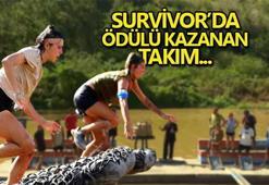 Survivor 2023'te yeni bir Acil Durum Konseyi! Survivor'da ödül oyununu hangi takım kazandı 12 Nisan?