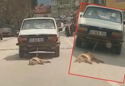 Otomobilin arkasına bağladığı köpeği sürükleyerek öldürdü