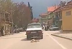 Köpeği araca bağlayıp sürükleyerek öldüren şahsın savunmasına tepki