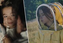 '20.000 Arı Türü', milyarlarca canlı, peki kaçımız gerçekten hakkını vere vere insan?