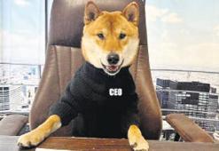 Twıtter’in yeni CEO’su: Floki