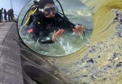 Endişelendileren görüntü: Müsilaj kabusu geri mi döndü?