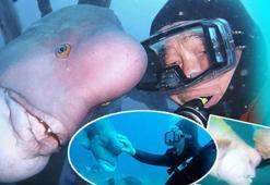 Ölümden kurtardığı balıkla böyle dost oldu! Tam 30 yıldır görür görmez yanına geliyor