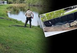 Nehirden bir anda fırlayıp bacağını kopardı! Polis, timsahın ağızını düğümledi