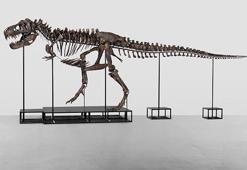 T-Rex iskeleti 6,2 milyon dolara satıldı