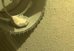 NASA'nın Mars'taki uzay aracı davetsiz misafirden kurtuldu
