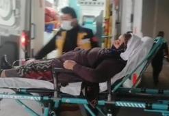 Erzincan’da 6 kişi mantar zehirlenmesi şüphesi ile hastaneye kaldırıldı