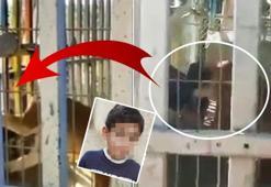 Canlı canlı yedi! Ailesi her şeye tanık oldu